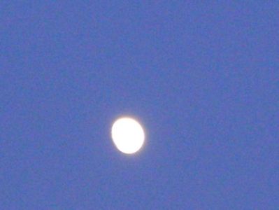 Luna in crestere in Taur; 8 dec. 2019
