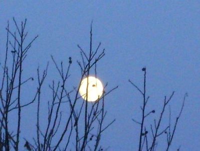 Luna in crestere in Gemeni; 10 dec. 2019
