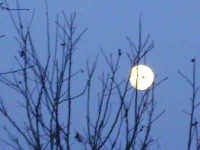 Luna in crestere in Gemeni; 10 dec. 2019
