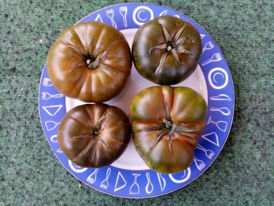 MARMANDE SWEET; MARMANDE Sweet
