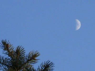 Luna in crestere in Berbec; 2 ian. 2020
