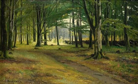 30374762413_0c0de34562_o