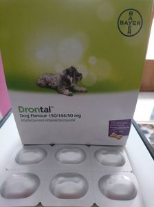 DRONTAL DOG FLAVOURED 1 TAB 10,5 RON