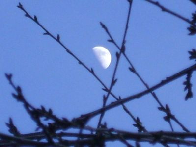 Luna in crestere in Rac; 4 mart. 2020
