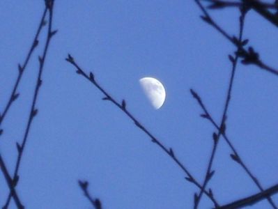 Luna in crestere in Rac; 4 mart. 2020
