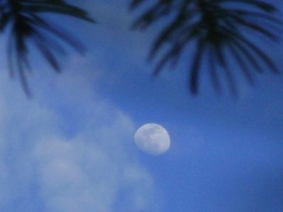 Luna in crestere in Leu; 6 mart. 2020
