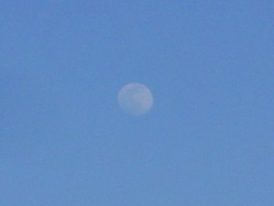 Luna in crestere in Leu; 7 mart. 2020
