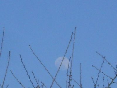 Luna in crestere in Leu; 7 mart. 2020
