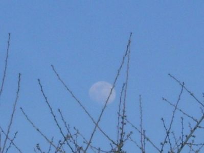 Luna in crestere in Leu; 7 mart. 2020

