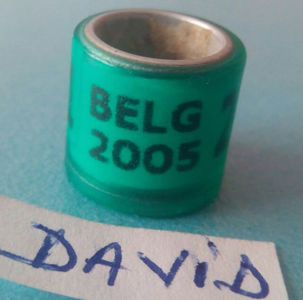 2005-BELGIA