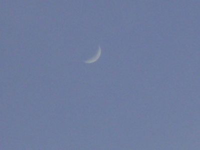 Luna noua in Taur; 28 mart. 2020
