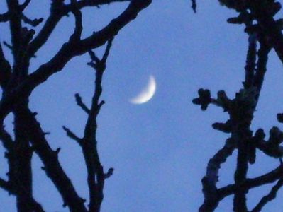 Luna in crestere in Gemeni; 30 mart. 2020
