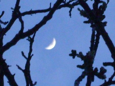 Luna in crestere in Gemeni; 30 mart. 2020
