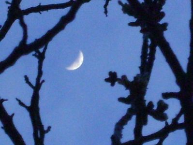 Luna in crestere in Gemeni; 30 mart. 2020
