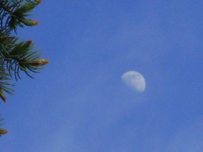 Luna in crestere in Fecioara; 2 mai 2020
