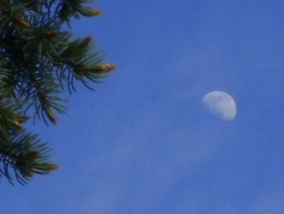 Luna in crestere in Fecioara; 2 mai 2020
