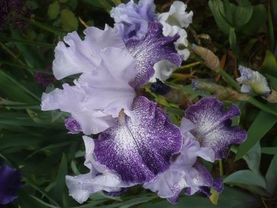 P1430884