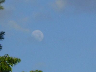 Luna in crestere in Scorpion; 3 iun. 2020
