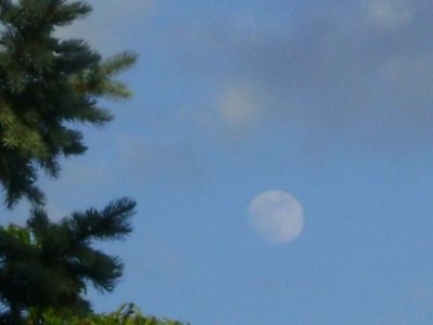 Luna in crestere in Scorpion; 3 iun. 2020
