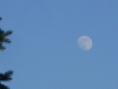 Luna in crestere in Scorpion; 3 iun. 2020
