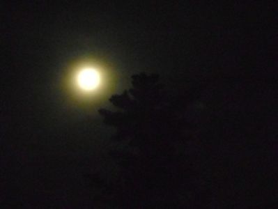 Luna plina si eclipsa penumbrala in Sagetator (Strawberry moon); 5 iun. 2020
