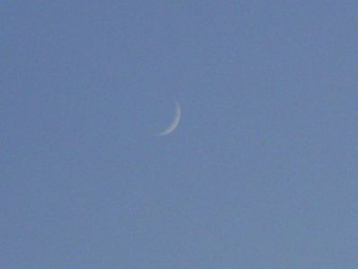 Luna noua in Leu; 24 iun. 2020
