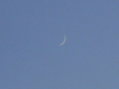 Luna noua in Leu; 24 iun. 2020
