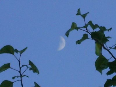 Luna in crestere in Fecioara; 27 iun. 2020
