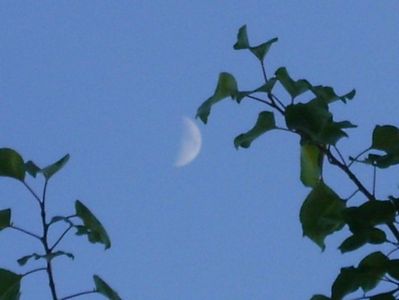 Luna in crestere in Fecioara; 27 iun. 2020
