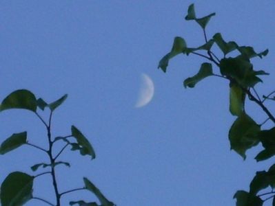 Luna in crestere in Fecioara; 27 iun. 2020
