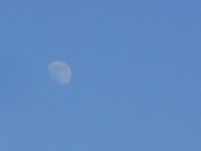 Luna in crestere in Scorpion; 1 iul. 2020

