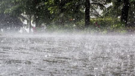 Ploaia - Sa fug prin ploaie -sa stau prin ploaie; Ador sunetul ploii.
