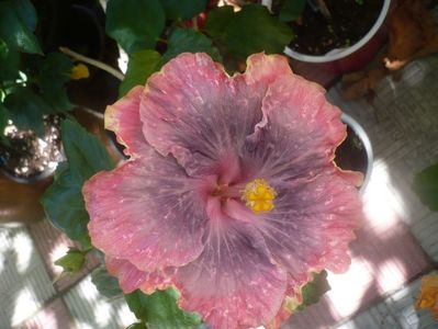 P1450720