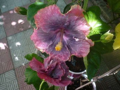 P1450756
