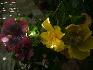 P1450760
