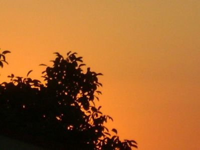 Apus de soare; 22 aug. 2020
