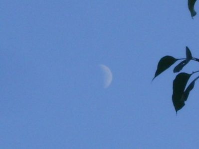Luna in crestere in Fecioara; 24 aug. 2020
