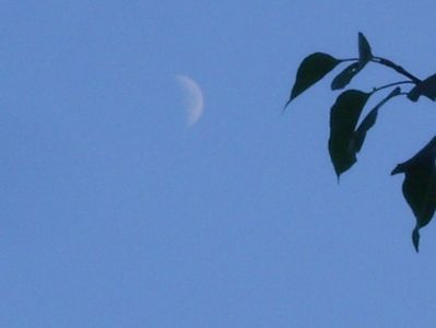 Luna in crestere in Fecioara; 24 aug. 2020
