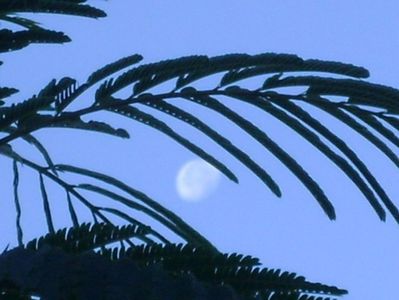 Luna in scadere in Berbec; 6 sept. 2020
