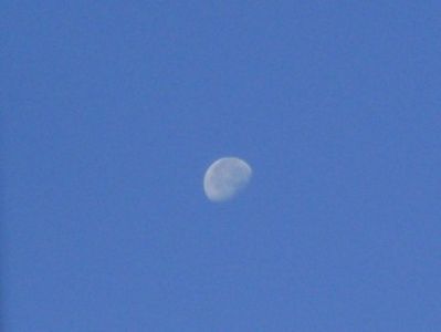 Luna in scadere in Taur; 7 sept. 2020
