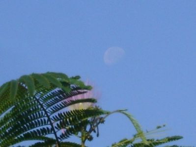 Luna in scadere in Taur; 7 sept. 2020
