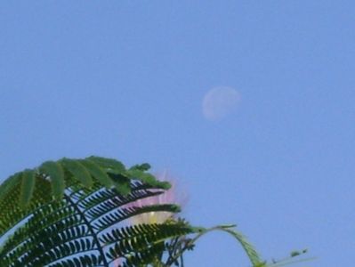 Luna in scadere in Taur; 7 sept. 2020
