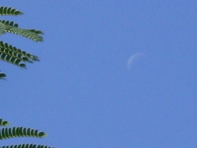 Luna in scadere in Rac; 12 sept. 2020
