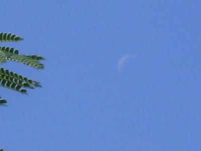 Luna in scadere in Rac; 12 sept. 2020
