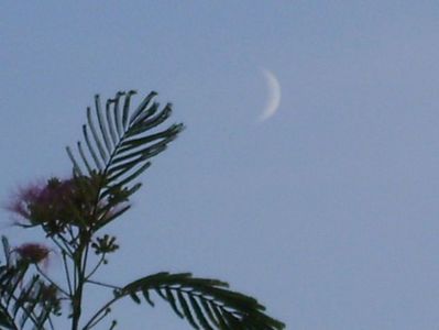 Luna noua in Scorpion; 21 sept. 2020
