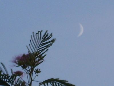 Luna noua in Scorpion; 21 sept. 2020
