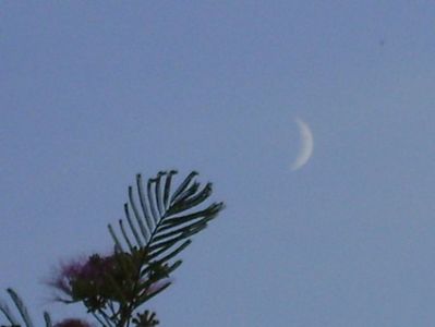 Luna noua in Scorpion; 21 sept. 2020
