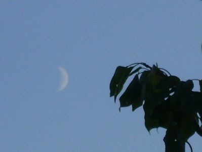 Echinoctiul de toamna - Luna in crestere in Sagetator; 22 sept. 2020
