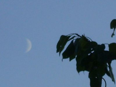 Echinoctiul de toamna - Luna in crestere in Sagetator; 22 sept. 2020
