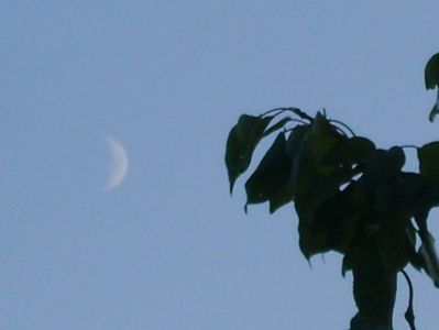 Echinoctiul de toamna - Luna in crestere in Sagetator; 22 sept. 2020
